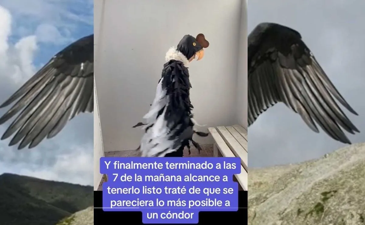 Mamá chilena se hace viral en TikTok por increíble disfraz que le hizo a su  hijo