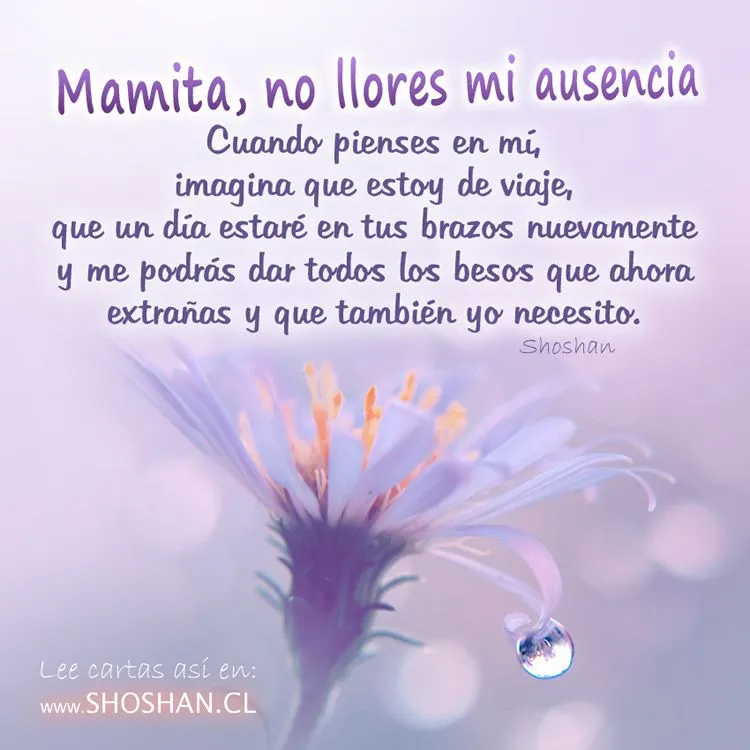 Mamita, no llores mi ausencia