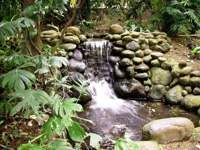 Manantial de AGUA | fotos de Creación y fotomontajes