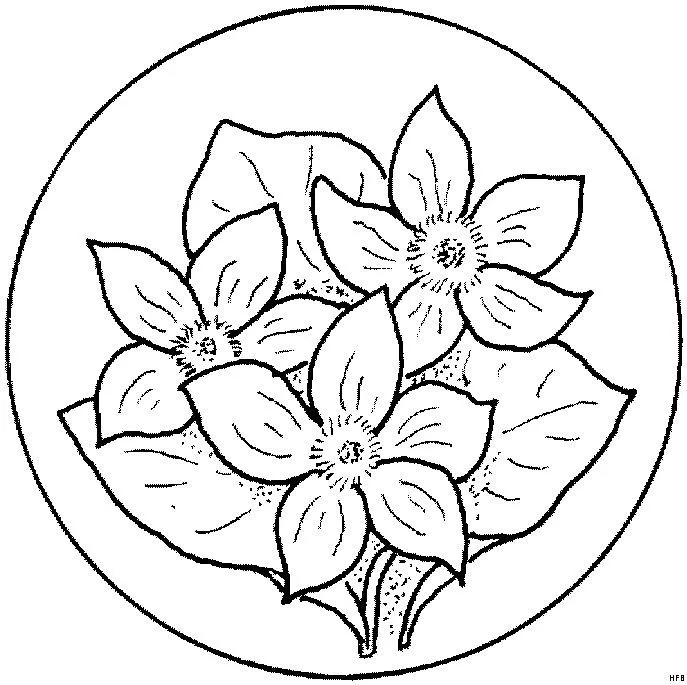 Mandalas Para Pintar: junio 2013