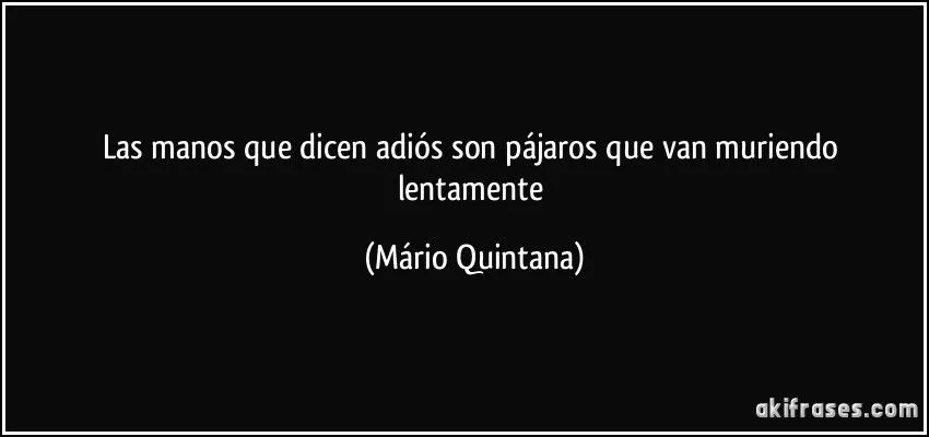 Las manos que dicen adiós son pájaros que van muriendo...