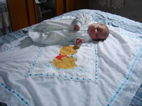 manta bordada em ponto cruz | Flickr - Photo Sharing!