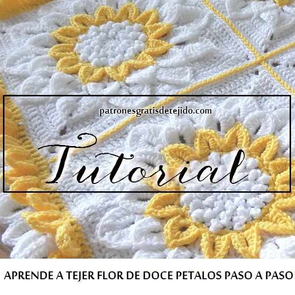 Mantilla o cobija de bebé / Tutorial crochet | Crochet y Dos agujas