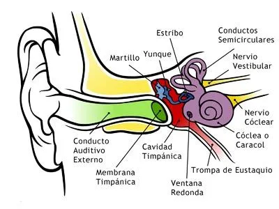 Manual para Radialistas Analfatécnicos