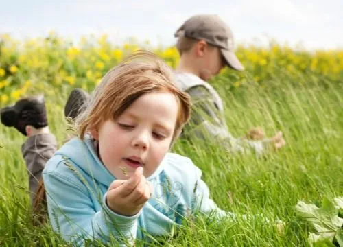 Un manual de superviviencia para niños exploradores