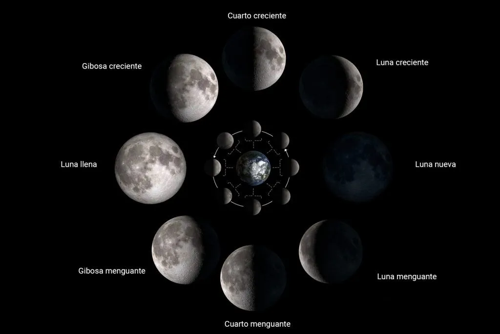 Manualidad: Las fases de la luna para niños - Cosas Molonas