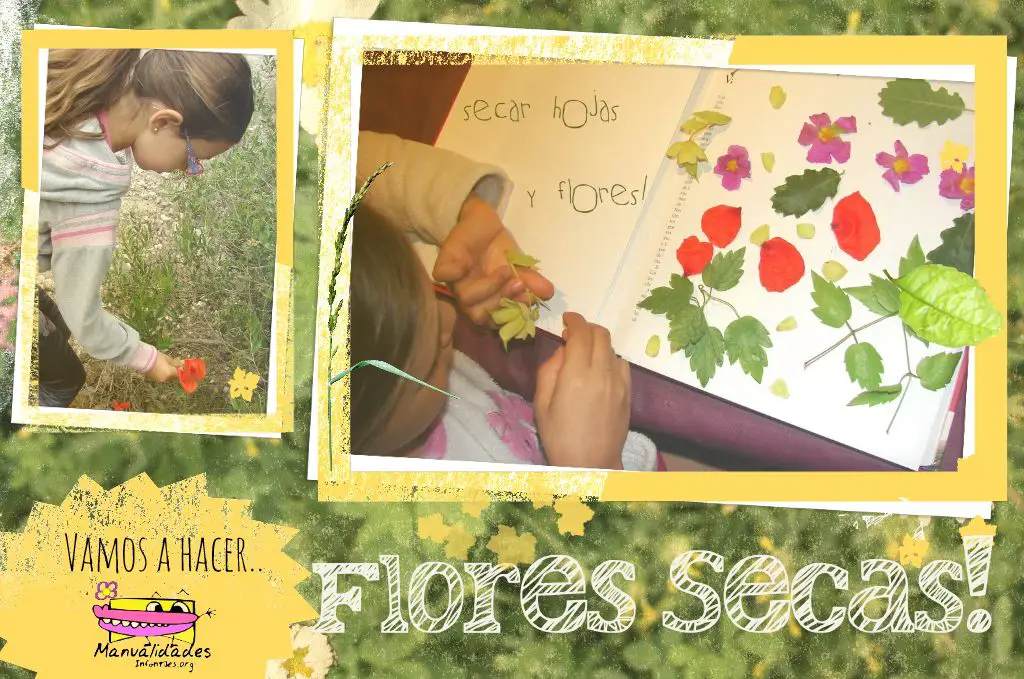 Manualidades con flores secas -Manualidades Infantiles