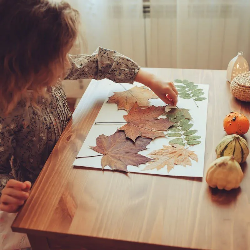 Manualidades con hojas de árboles para el otoño - Foto 1