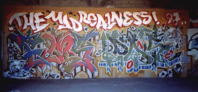 MANY ENGLISHES: Is there more power in English-language graffiti?