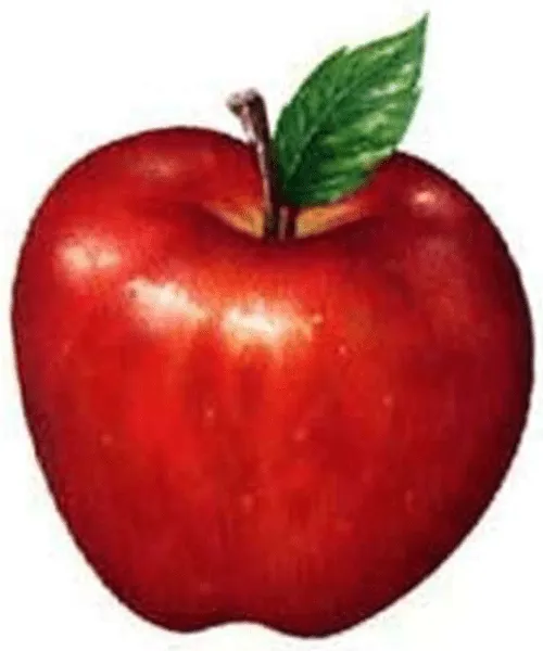 Manzana image - vector clip art online, royalty free & public domain