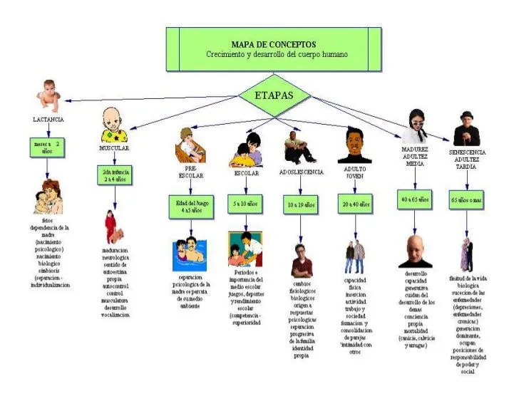 Map Quiz: EL CRECIMIENTO HUMANO (tecnologías de la información y  comunicación - 1º bachillerato - etapas)