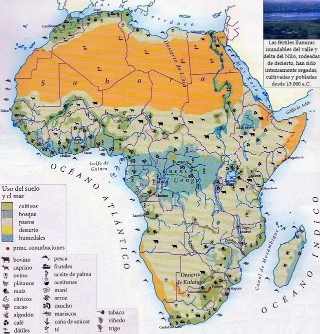 Mapa de África: Uso del suelo y del mar | Social Hizo