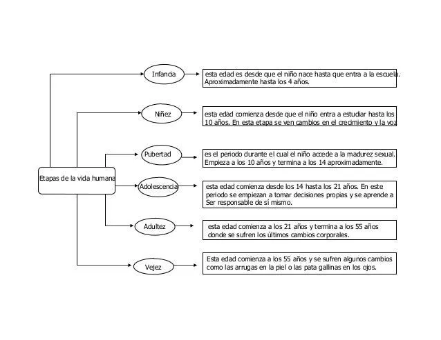 Mapa conceptual