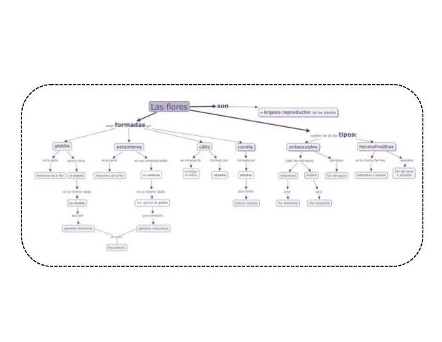 Mapa conceptual de las flores y su reproducción