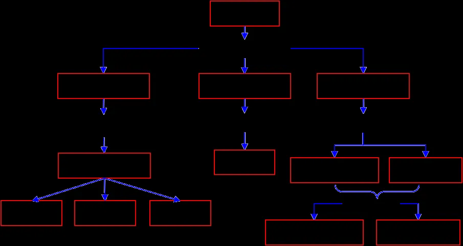 Mapa conceptual - Imagui