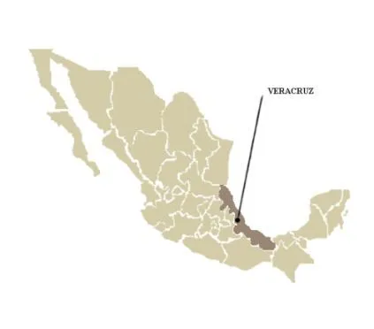 Mapa de mexico veracruz - Imagui