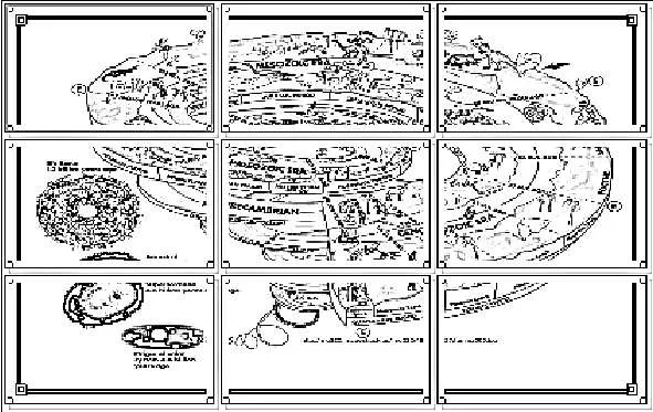 MAPA MURAL LAS ERAS GEOLOGICAS 3X3 HOJA LEGAL « PARA JEFATURAS ...