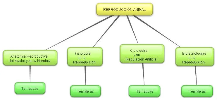 MAPA DE NAVEGACION