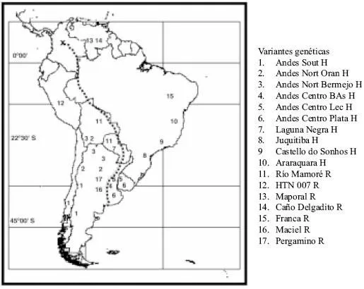 Mapa sudamerica sin nombres - Imagui