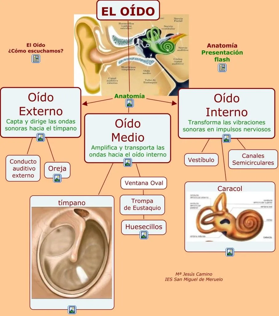 Mapas Conceptuales « Hacemos Música, Compartimos Música. « Página 2