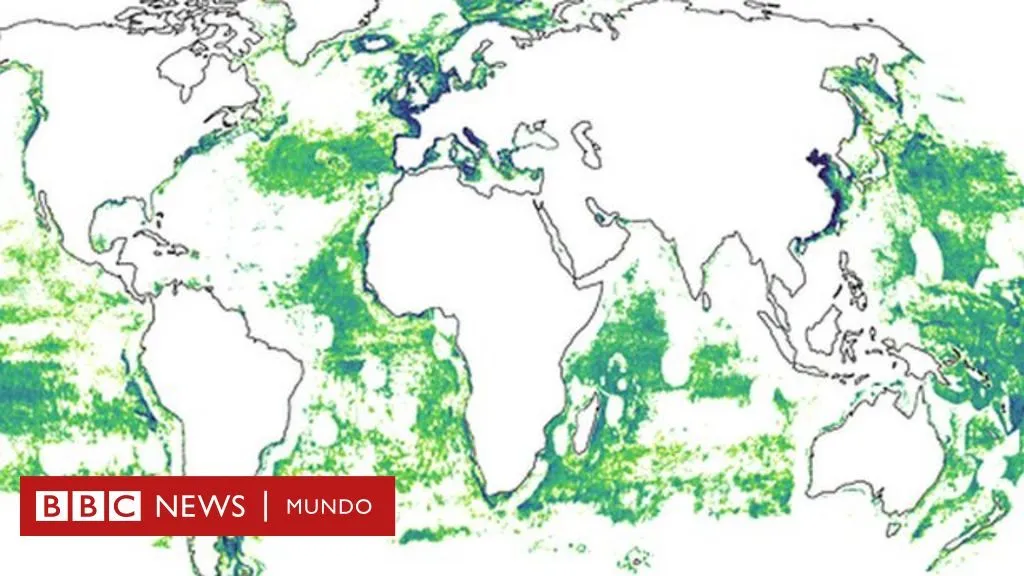 Los mapas que muestran cómo solo 5 países acaparan el 85% de la pesca  industrial del mundo - BBC News Mundo