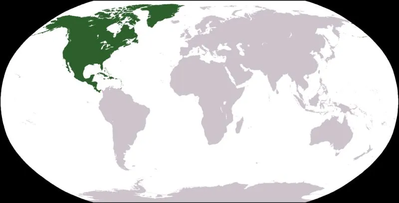 Mapas de Norteamérica: geofráfico, político, rutas, planos, calles ...