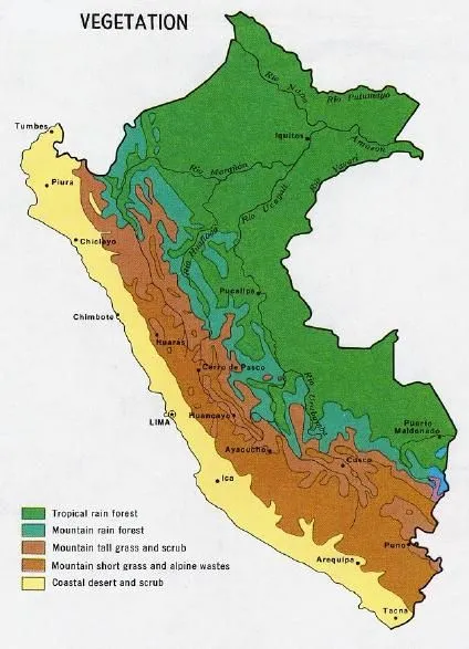 Mapa_Vegetacion_Peru.jpg