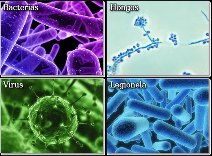 mapihmsaludoral: INFECCION