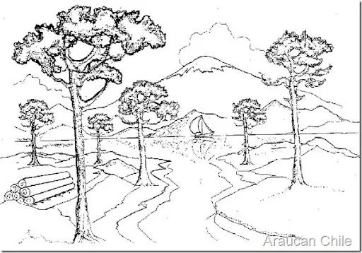 MAPUCHES Colouring Pages