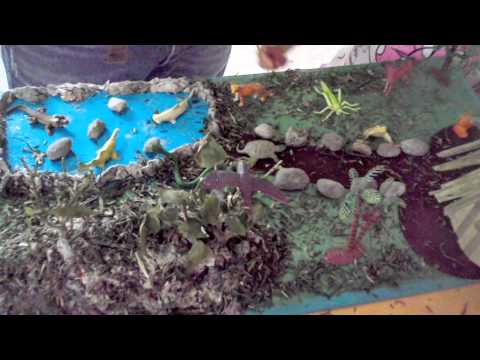 maqueta de la selva - YouTube