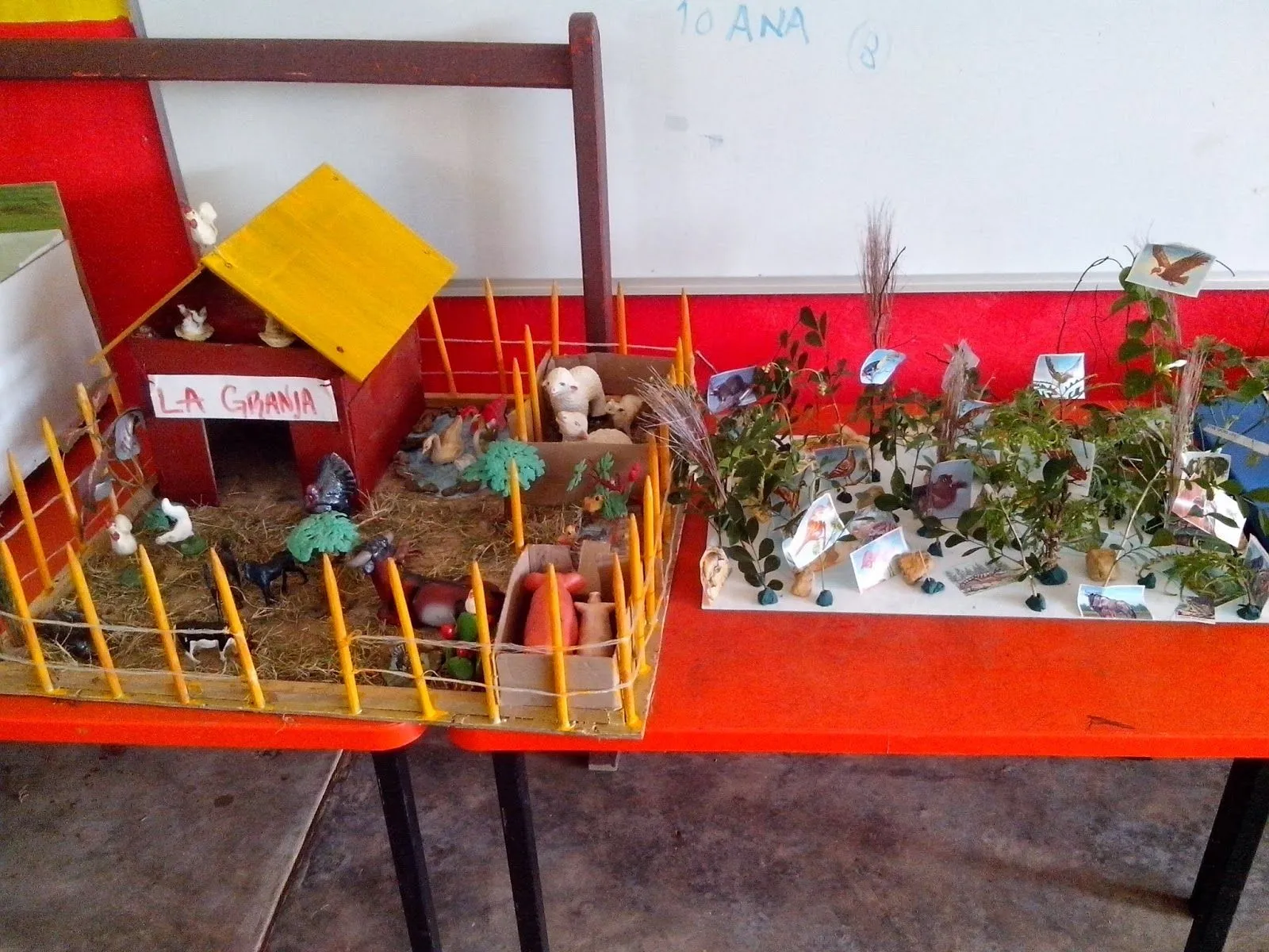 Maquetas en relacion al ecosistemas