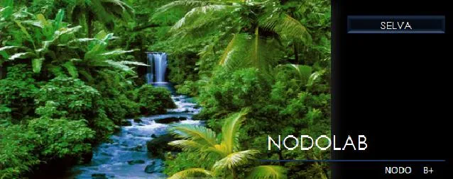 NODO B+ » nodolab