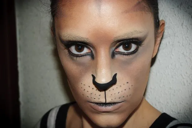 Maquillaje: Maquillaje gato cara