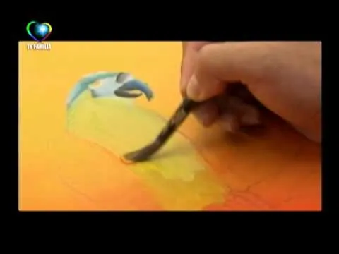 MARAVILLOSO MUNDO PINTURA CON LOROS 02 - YouTube