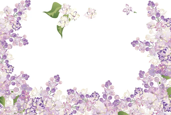 marco de flores lilas hald aislado en blanco — Vector stock © Dr ...