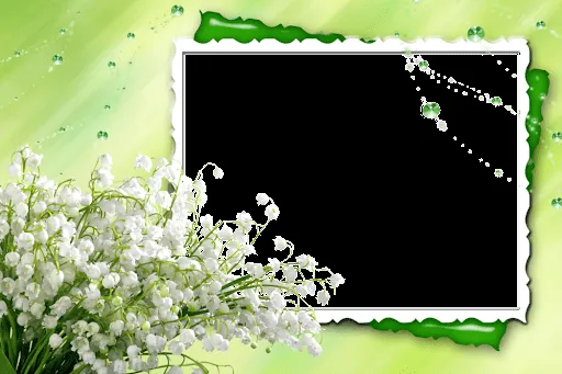 MARCO DE FOTOS PARA 15 AÑOS. FLORES PARA LAS CHICAS BELLAS ...