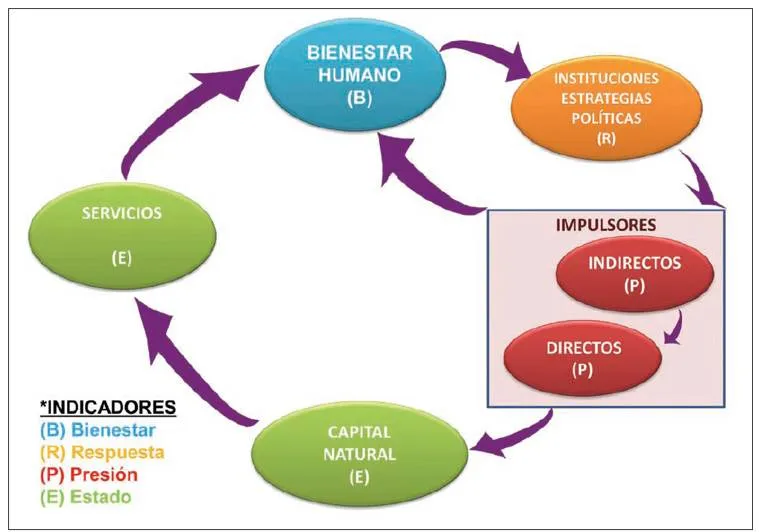 Marco teórico del proyecto | Biodiversidad