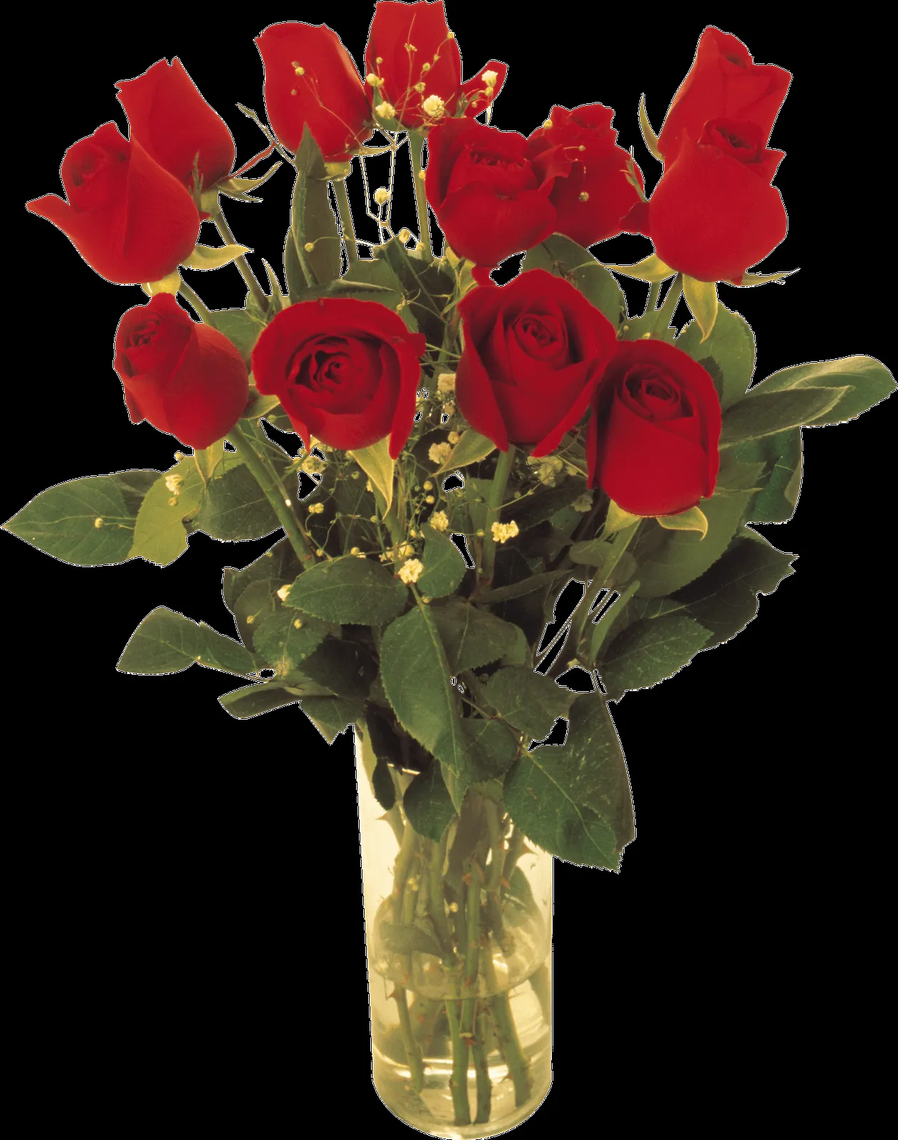 MARCOS GRATIS PARA FOTOS: FLORES, ROSAS ROJAS PNG..