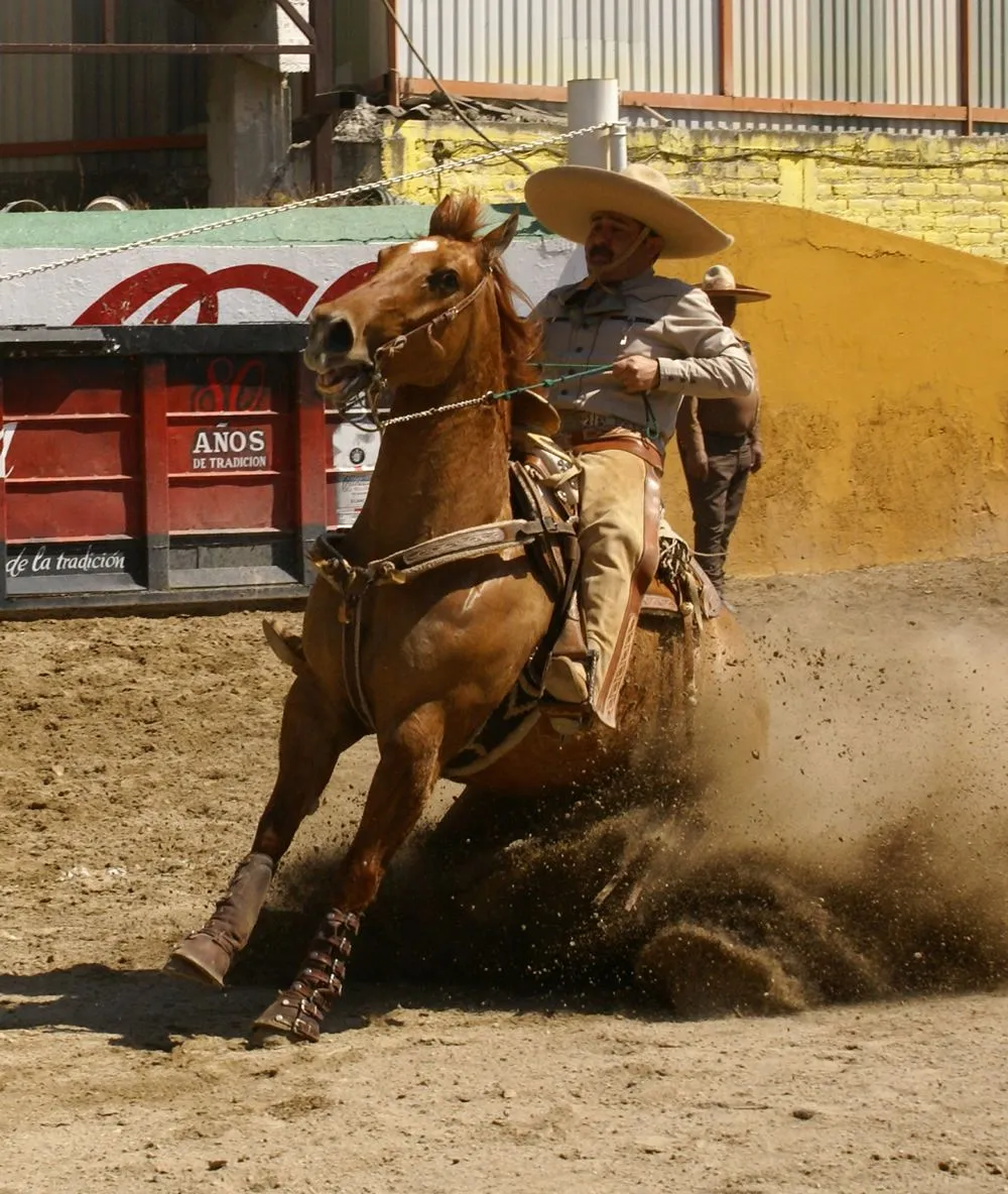 sombrero de ala ancha copa alta el jarano y botines