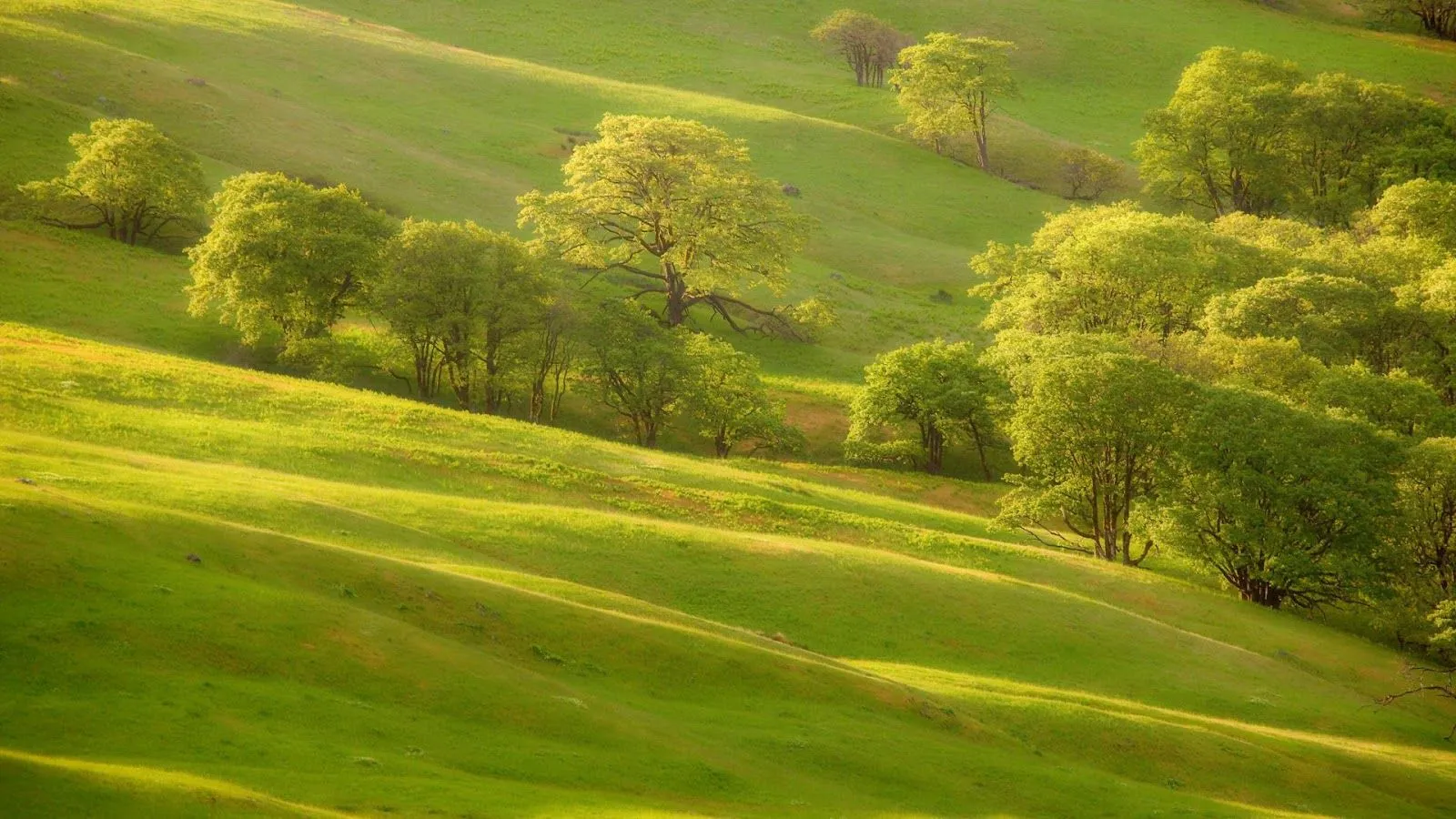 MariaJose: Fondos Naturaleza