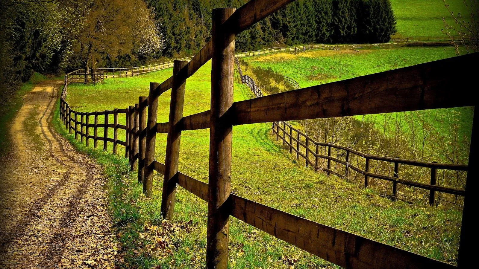 MariaJose: Fondos de pantalla con bellos rincones de la naturaleza