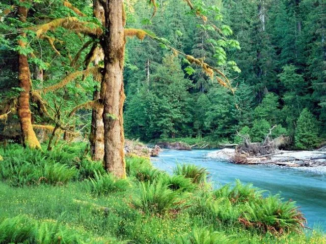 MariaJose: Fondos de pantalla con bellos rincones de la naturaleza