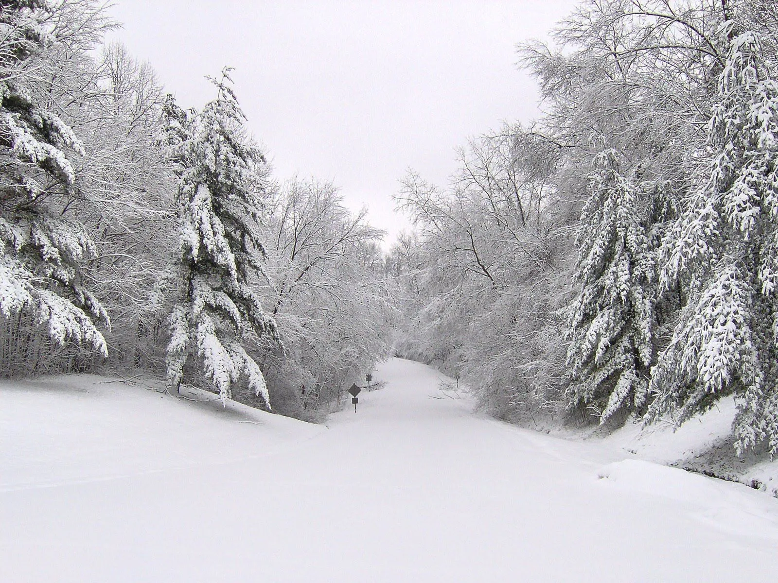 MariaJose: Paisajes de Invierno