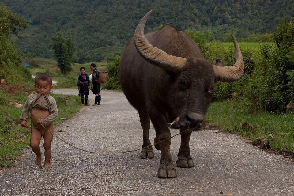 MarianoDigital | Blogoteca: imágenes y reflexiones bajo un arco ...