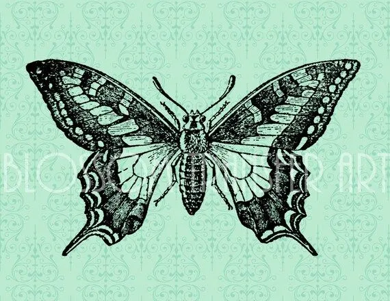 Mariposa Imágenes digitales Vintage para por BlossomTransferArt