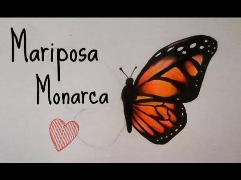 Mariposa monarca dibujo lapiz - Imagui