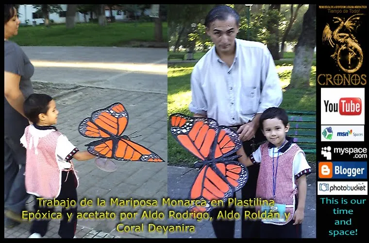 Mariposas monarcas de foami - Imagui