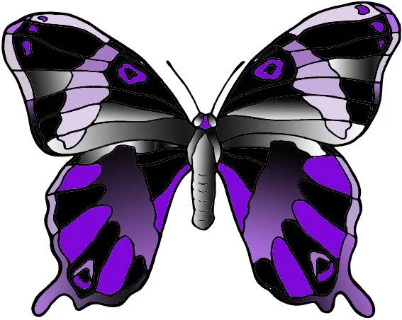 mariposa morada