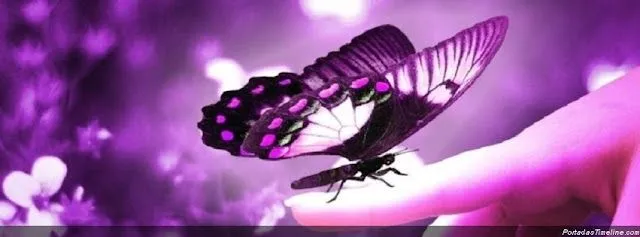 mariposa-violeta-para-facebook.jpg