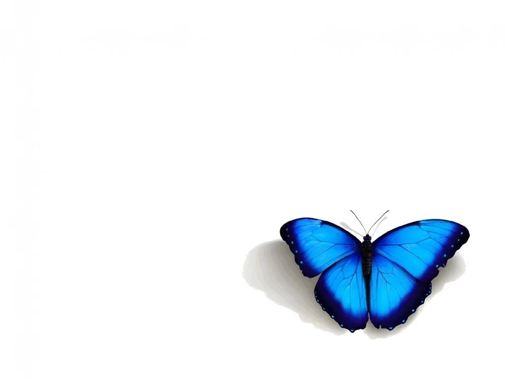 Mariposas animadas de color azul - Imagui